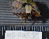  ( - MB-A065929)  @14 [ ] CreativeCommons - Attribution Non-Commercial Share-Alike (2014) Jannes Landschoff University of Cape Town