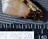  ( - MB-A065930)  @13 [ ] CreativeCommons - Attribution Non-Commercial Share-Alike (2014) Jannes Landschoff University of Cape Town