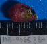  ( - MB-A065987)  @11 [ ] CreativeCommons - Attribution Non-Commercial Share-Alike (2014) Jannes Landschoff University of Cape Town