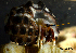  ( - MB-A065997)  @12 [ ] CreativeCommons  Attribution Non-Commercial Share-Alike (2014) Jannes Landschoff University of Cape Town