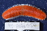  ( - MB-A066054)  @11 [ ] CreativeCommons - Attribution Non-Commercial Share-Alike (2014) Jannes Landschoff University of Cape Town