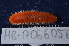  ( - MB-A066056)  @11 [ ] CreativeCommons - Attribution Non-Commercial Share-Alike (2014) Jannes Landschoff University of Cape Town
