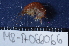  ( - MB-A066066)  @13 [ ] CreativeCommons - Attribution Non-Commercial Share-Alike (2014) Jannes Landschoff University of Cape Town