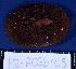  ( - MB-A066109)  @11 [ ] CreativeCommons - Attribution Non-Commercial Share-Alike (2014) Jannes Landschoff University of Cape Town