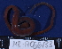  ( - MB-A066133)  @11 [ ] CreativeCommons - Attribution Non-Commercial Share-Alike (2014) Jannes Landschoff University of Cape Town