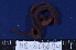  ( - MB-A066134)  @11 [ ] CreativeCommons - Attribution Non-Commercial Share-Alike (2014) Jannes Landschoff University of Cape Town