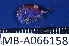  ( - MB-A066158)  @11 [ ] CreativeCommons - Attribution Non-Commercial Share-Alike (2014) Jannes Landschoff University of Cape Town