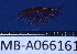  ( - MB-A066161)  @11 [ ] CreativeCommons - Attribution Non-Commercial Share-Alike (2014) Jannes Landschoff University of Cape Town