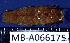  ( - MB-A066175)  @11 [ ] CreativeCommons - Attribution Non-Commercial Share-Alike (2014) Jannes Landschoff University of Cape Town