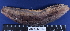  ( - MB-A066185)  @11 [ ] CreativeCommons - Attribution Non-Commercial Share-Alike (2014) Jannes Landschoff University of Cape Town