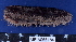  ( - MB-A066186)  @11 [ ] CreativeCommons - Attribution Non-Commercial Share-Alike (2014) Jannes Landschoff University of Cape Town