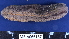  ( - MB-A066187)  @11 [ ] CreativeCommons - Attribution Non-Commercial Share-Alike (2014) Jannes Landschoff University of Cape Town