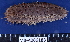  ( - MB-A066188)  @11 [ ] CreativeCommons - Attribution Non-Commercial Share-Alike (2014) Jannes Landschoff University of Cape Town
