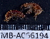  ( - MB-A066194)  @11 [ ] CreativeCommons - Attribution Non-Commercial Share-Alike (2014) Jannes Landschoff University of Cape Town