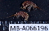 ( - MB-A066196)  @11 [ ] CreativeCommons - Attribution Non-Commercial Share-Alike (2014) Jannes Landschoff University of Cape Town