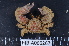  ( - MB-A066267)  @14 [ ] CreativeCommons - Attribution Non-Commercial Share-Alike (2014) Jannes Landschoff University of Cape Town