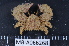  ( - MB-A066268)  @14 [ ] CreativeCommons - Attribution Non-Commercial Share-Alike (2014) Jannes Landschoff University of Cape Town