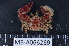  ( - MB-A066269)  @14 [ ] CreativeCommons - Attribution Non-Commercial Share-Alike (2014) Jannes Landschoff University of Cape Town