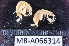  ( - MB-A066314)  @11 [ ] CreativeCommons  Attribution Non-Commercial Share-Alike (2014) Jannes Landschoff University of Cape Town