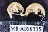  ( - MB-A066315)  @11 [ ] CreativeCommons  Attribution Non-Commercial Share-Alike (2014) Jannes Landschoff University of Cape Town