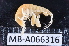  ( - MB-A066316)  @11 [ ] CreativeCommons  Attribution Non-Commercial Share-Alike (2014) Jannes Landschoff University of Cape Town
