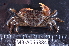  ( - MB-A066384)  @11 [ ] CreativeCommons  Attribution Non-Commercial Share-Alike (2014) Jannes Landschoff University of Cape Town