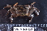  ( - MB-A066385)  @11 [ ] CreativeCommons  Attribution Non-Commercial Share-Alike (2014) Jannes Landschoff University of Cape Town