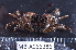  ( - MB-A066386)  @11 [ ] CreativeCommons  Attribution Non-Commercial Share-Alike (2014) Jannes Landschoff University of Cape Town