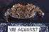  ( - MB-A066387)  @11 [ ] CreativeCommons  Attribution Non-Commercial Share-Alike (2014) Jannes Landschoff University of Cape Town