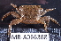  ( - MB-A066388)  @11 [ ] CreativeCommons  Attribution Non-Commercial Share-Alike (2014) Jannes Landschoff University of Cape Town