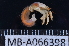  ( - MB-A066398)  @12 [ ] CreativeCommons  Attribution Non-Commercial Share-Alike (2014) Jannes Landschoff University of Cape Town
