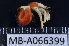  ( - MB-A066399)  @12 [ ] CreativeCommons  Attribution Non-Commercial Share-Alike (2014) Jannes Landschoff University of Cape Town