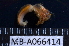  ( - MB-A066414)  @11 [ ] CreativeCommons  Attribution Non-Commercial Share-Alike (2014) Jannes Landschoff University of Cape Town