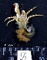  ( - MB-A066467)  @11 [ ] CreativeCommons  Attribution Non-Commercial Share-Alike (2014) Jannes Landschoff University of Cape Town