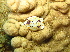  ( - SODGA01)  @11 [ ] CreativeCommons - Attribution Non-Commercial No Derivatives (2014) J. Toms Stellenbosch University