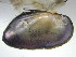  ( - EcraEsc058)  @11 [ ] CreativeCommons - Attribution Non-Commercial No Derivatives (2014) Nathan A. Johnson USGS
