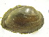  ( - EcraFli001)  @11 [ ] Unspecified (default): All Rights Reserved  Unspecified Unspecified