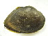  ( - EcraFli002)  @11 [ ] Unspecified (default): All Rights Reserved  Unspecified Unspecified