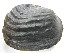  ( - AneiApa003)  @11 [ ] Unspecified (default): All Rights Reserved  Unspecified Unspecified