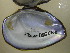  ( - FburCho005)  @11 [ ] Unspecified (default): All Rights Reserved  Unspecified Unspecified