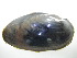  ( - HausYel014)  @11 [ ] Unspecified (default): All Rights Reserved  Unspecified Unspecified