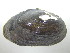  ( - EoccStj011)  @11 [ ] Unspecified (default): All Rights Reserved  Unspecified Unspecified
