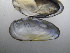  ( - MpenChi001)  @11 [ ] Unspecified (default): All Rights Reserved  Unspecified Unspecified