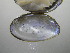  ( - MpenChi003)  @11 [ ] Unspecified (default): All Rights Reserved  Unspecified Unspecified