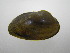  ( - MpenChi003)  @11 [ ] Unspecified (default): All Rights Reserved  Unspecified Unspecified
