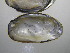  ( - MpenChi004)  @11 [ ] Unspecified (default): All Rights Reserved  Unspecified Unspecified