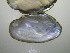  ( - MpenChi005)  @11 [ ] Unspecified (default): All Rights Reserved  Unspecified Unspecified