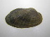  ( - MpenChi005)  @11 [ ] Unspecified (default): All Rights Reserved  Unspecified Unspecified