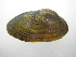  ( - MpenChi006)  @11 [ ] Unspecified (default): All Rights Reserved  Unspecified Unspecified
