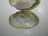  ( - MpenChi007)  @11 [ ] Unspecified (default): All Rights Reserved  Unspecified Unspecified